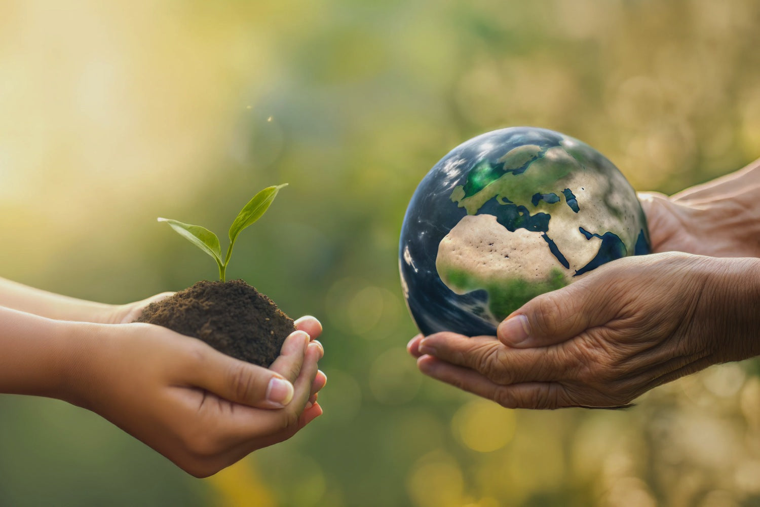 Sustainability